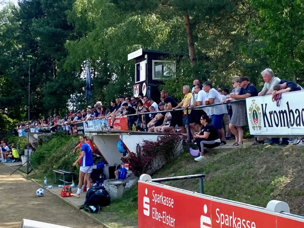 6da9d393-1893-4836-8053-ce7a8a4ecef3