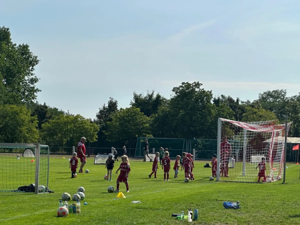 d9eec760-0df4-4138-87e7-5f55242c64ce