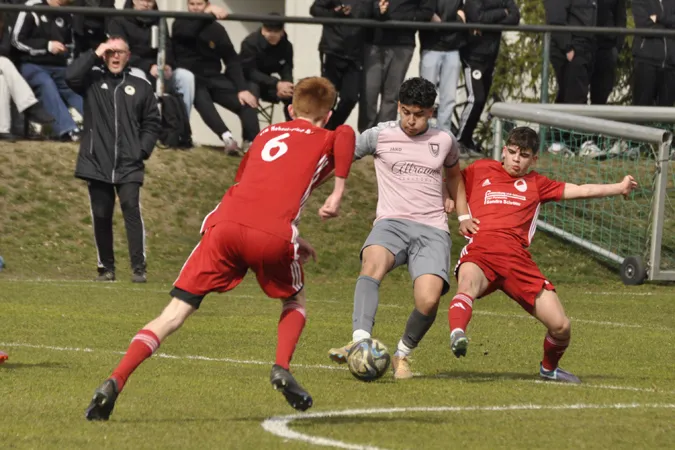 a_jun_pvf_dallgow_25_26_00019