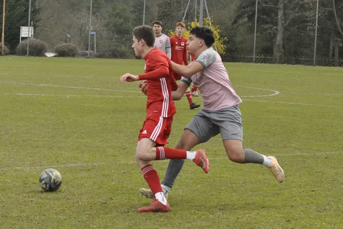 a_jun_pvf_dallgow_25_26_00040