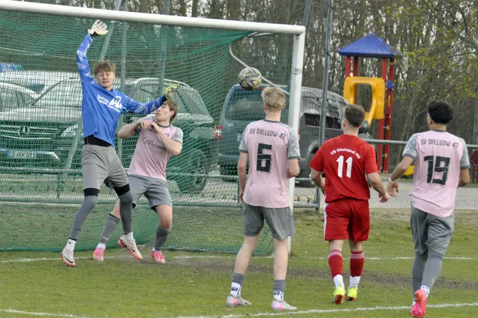 a_jun_pvf_dallgow_25_26_00050